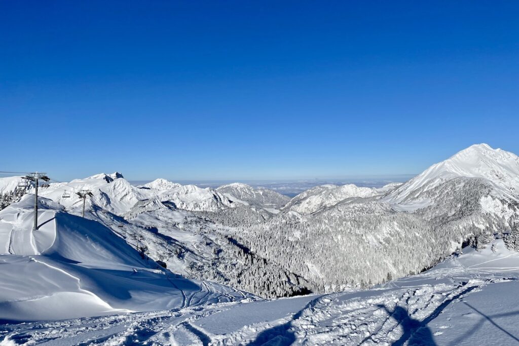 Fresh powder snow in Chatel with snowy trees