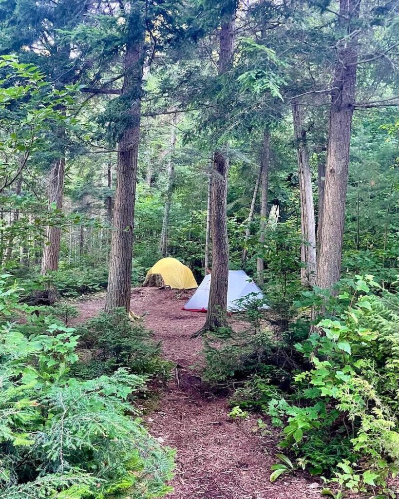 Tents at campsite in Little Trout - Magnetawan Access