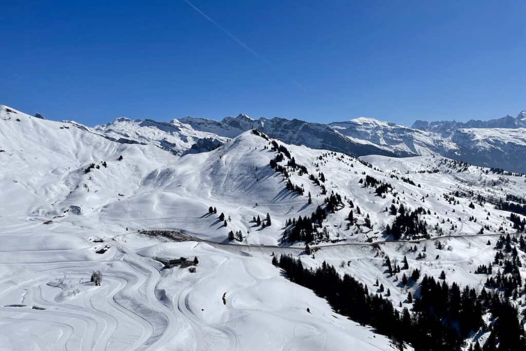 Mountain view with trees in Les Gets Portes du Soleil