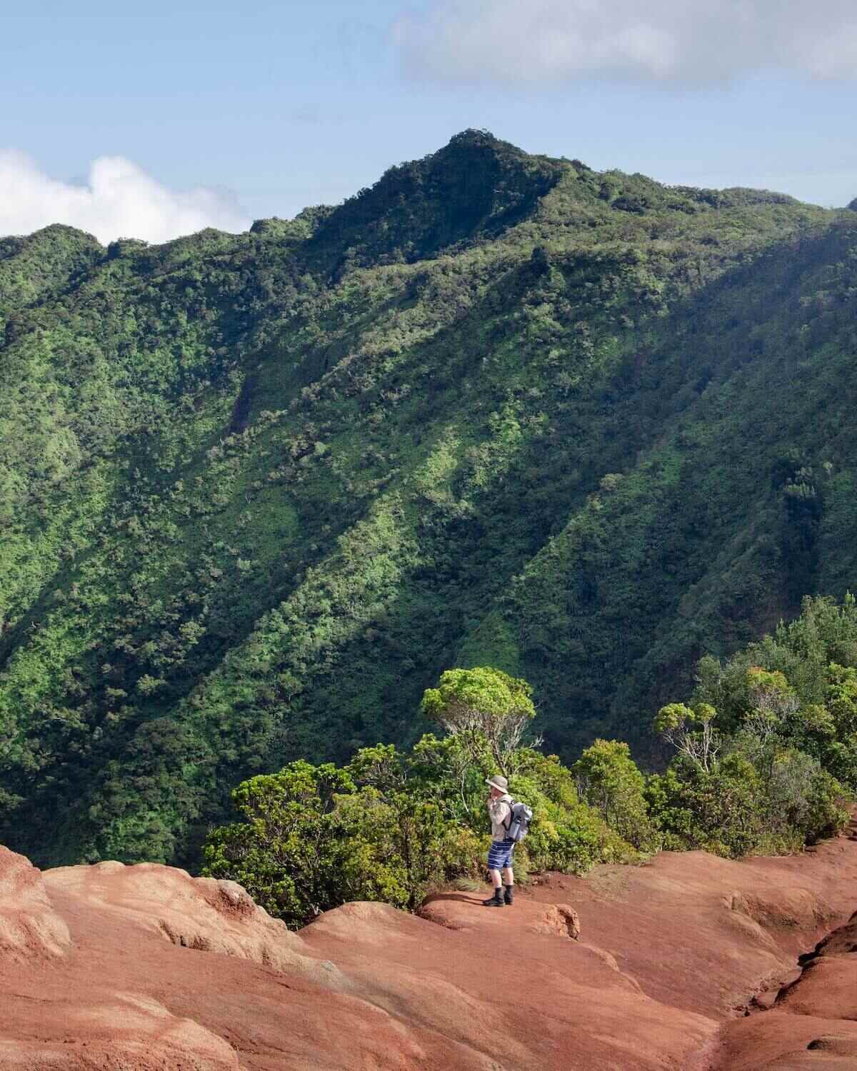 Pu’u O Kila Lookout with person looking out to Na Pali Coast Kauai
