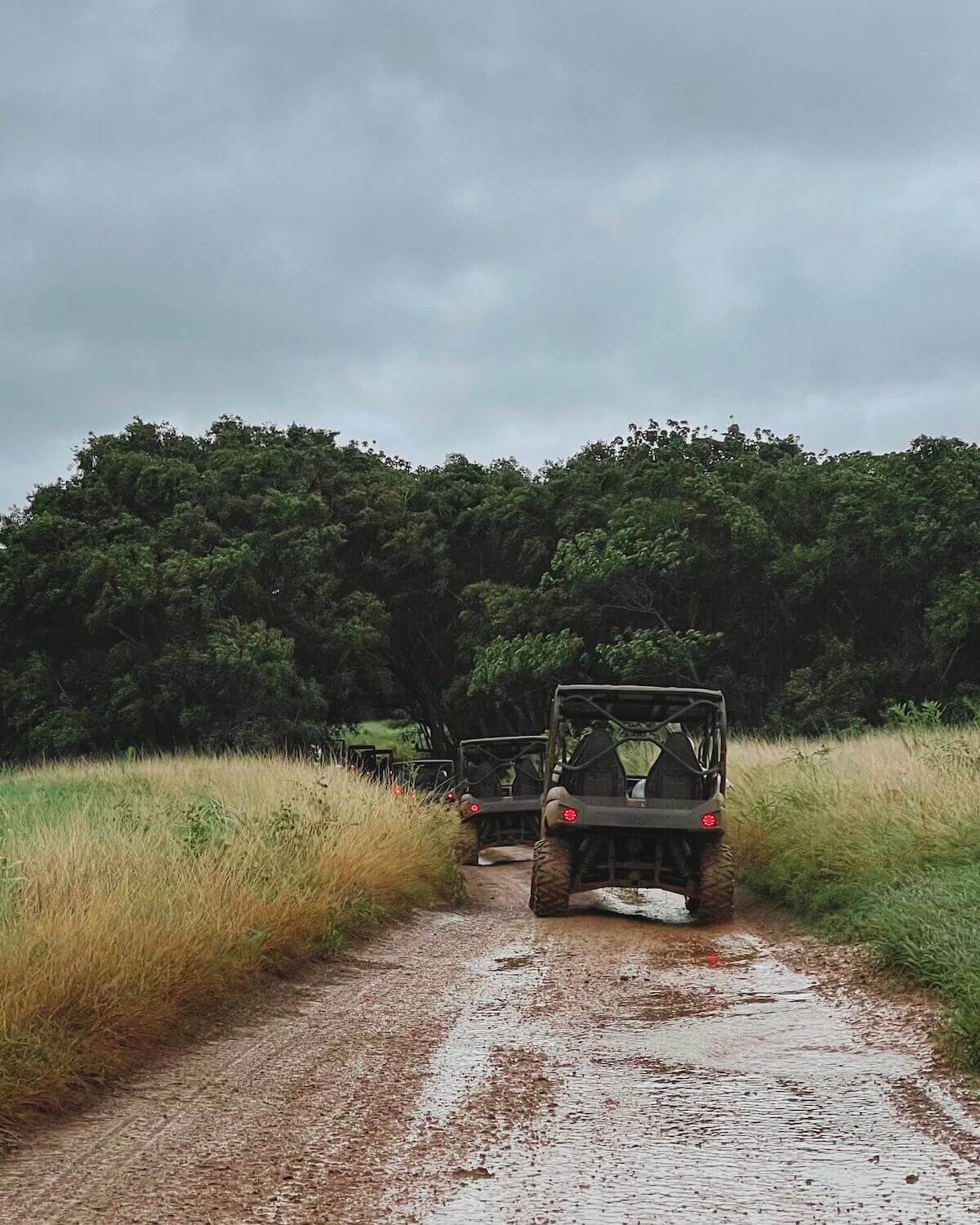 Line of ATVS along a muddy path in the jungle on a cloudy day in Kauai
