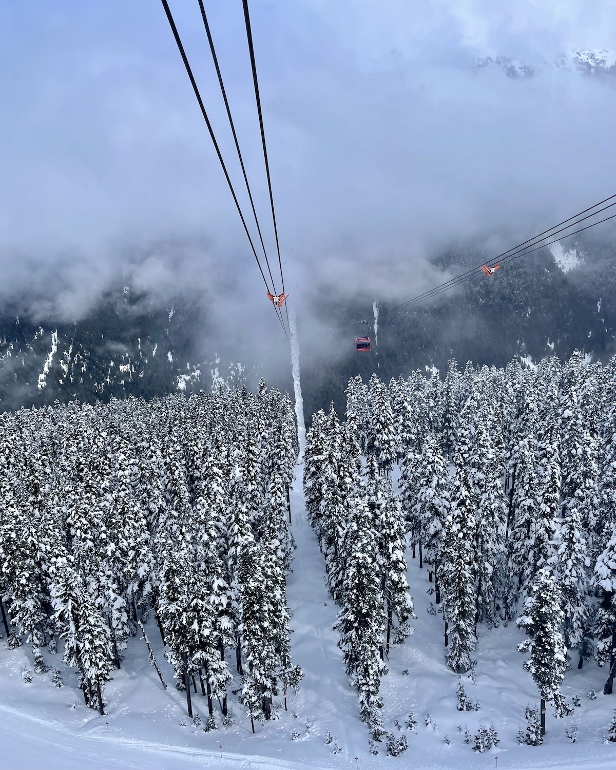 Peak to Peak gondola view of snowy trees and cables at Whistler Blackcomb