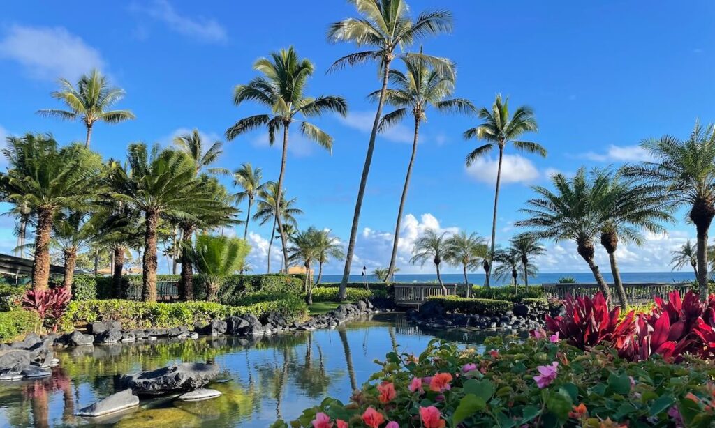 Grand Hyatt Kauai Resort and Spa - lush hotel grounds and palm trees
