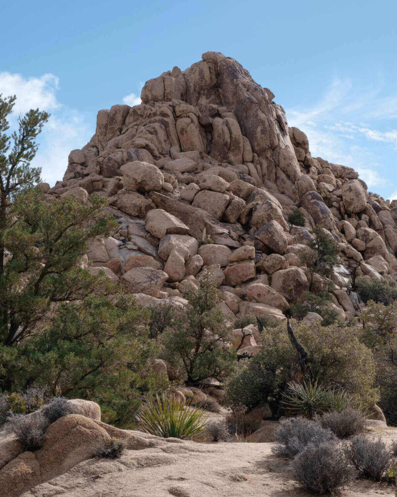Large rocky pile with spiky plants dotted around in Joshua Tree on a blue sky