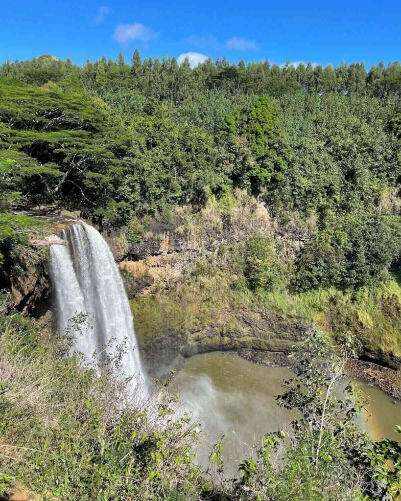 View of Wailua Falls from above with rainbow and large forest surrounding it
