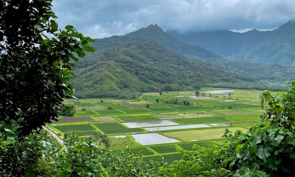Hanalei Bay lookout in Princeville Kauai green fields with mountainous terrain