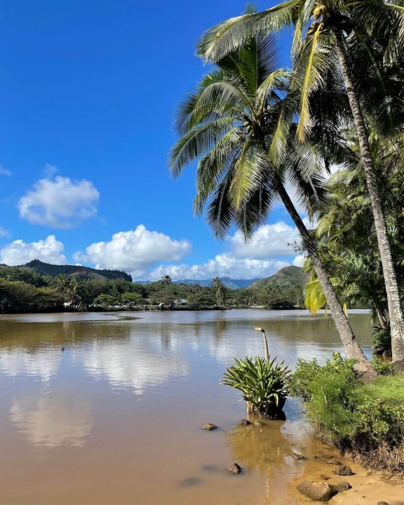 Wailua River bank with murky water, trees lining the water and blue sky in Kauai