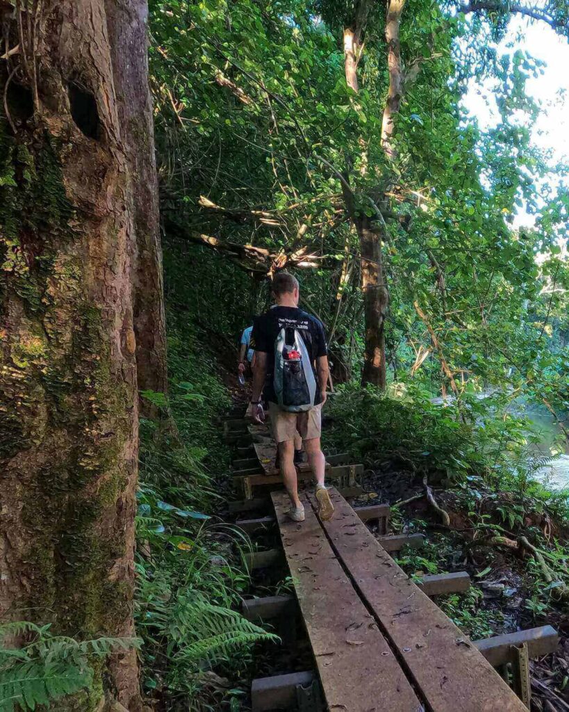 Man walking along wooden planks in forest along a river on the Secret Falls excursion