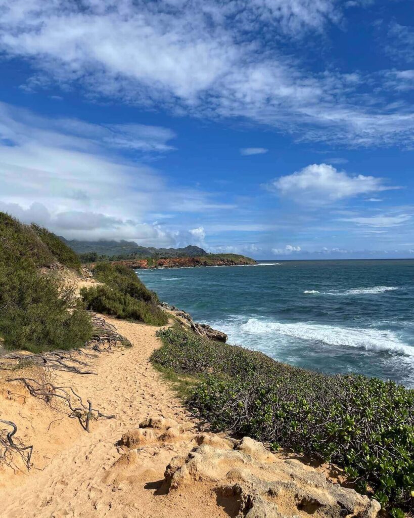 Mahau'ulepu heritage trail in Poipu Kauai - sandy coastal path with green bushes lining