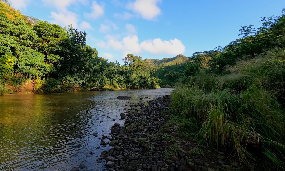 Rocky beach with bushes lining the path towards the River Crossing to Secret Falls with blue sky