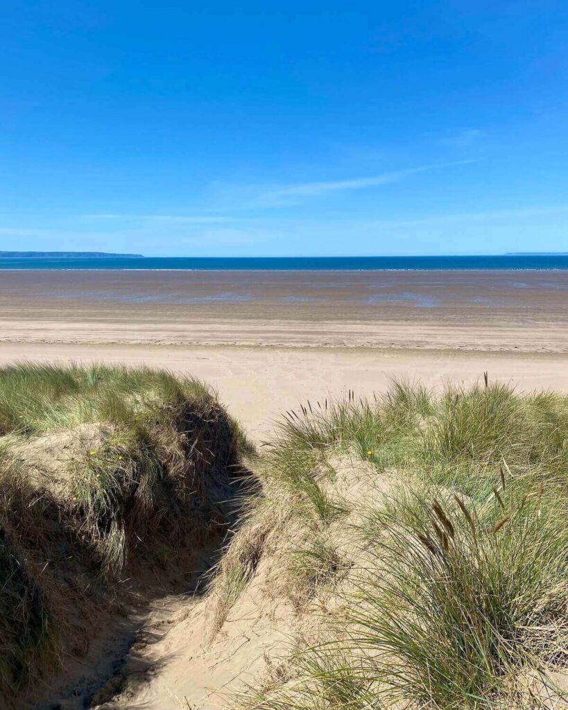 Saunton beach in North Devon - bright blue sky with empty white sand beach and long grass