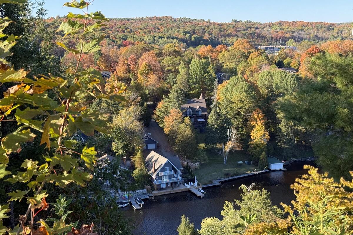 Large houses along river in Huntsville from the Lions lookout with framing autumn leaves on sunny day