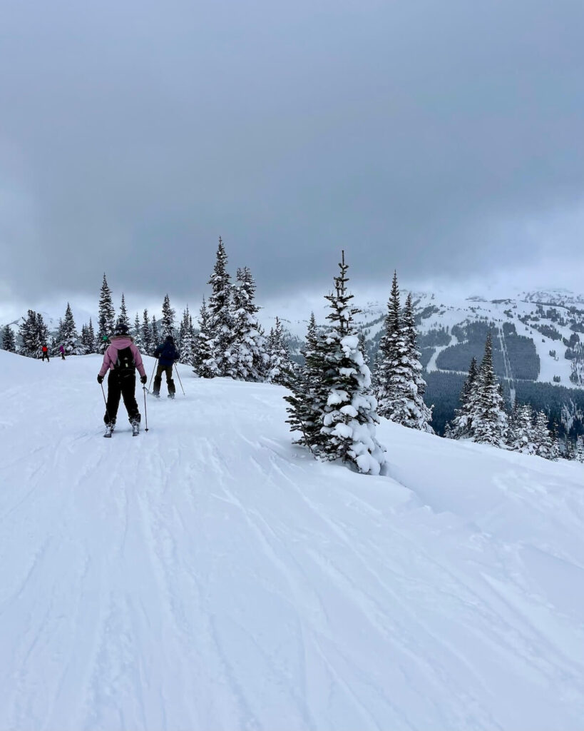 Easy green run to 7th Heaven Whistler Blackcomb with skiers on cat track and snow topped trees
