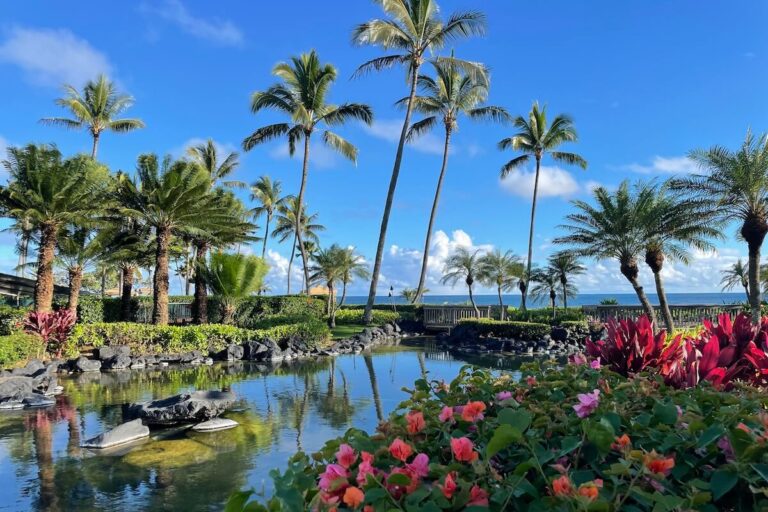 Grand Hyatt Kauai review showing ponds with palm trees and lush flowers with blue sky and ocean