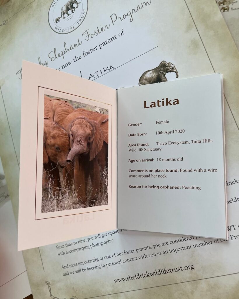 Sheldrick Elephant Orphanage adoption booklet for Latika with photo and description of elephant