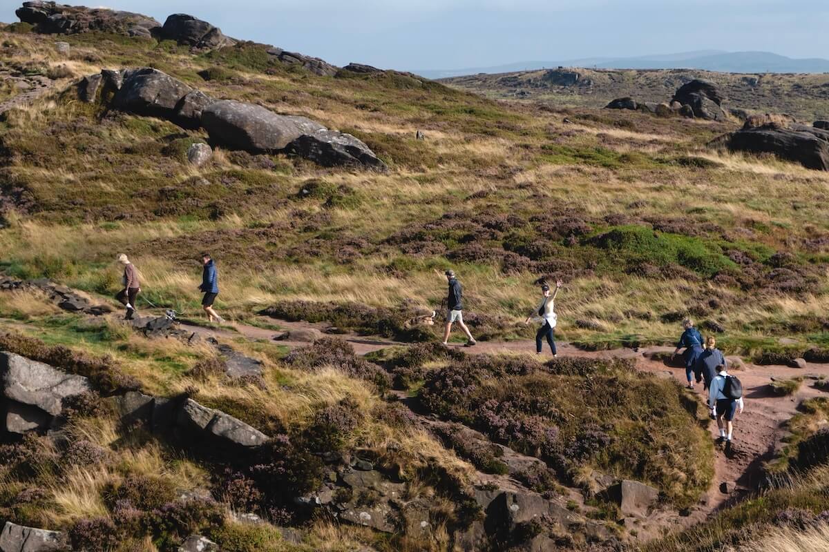7 adults and 2 dogs hiking a bushy path with large rocks scattered on the Roaches walk for a Peak District itinerary