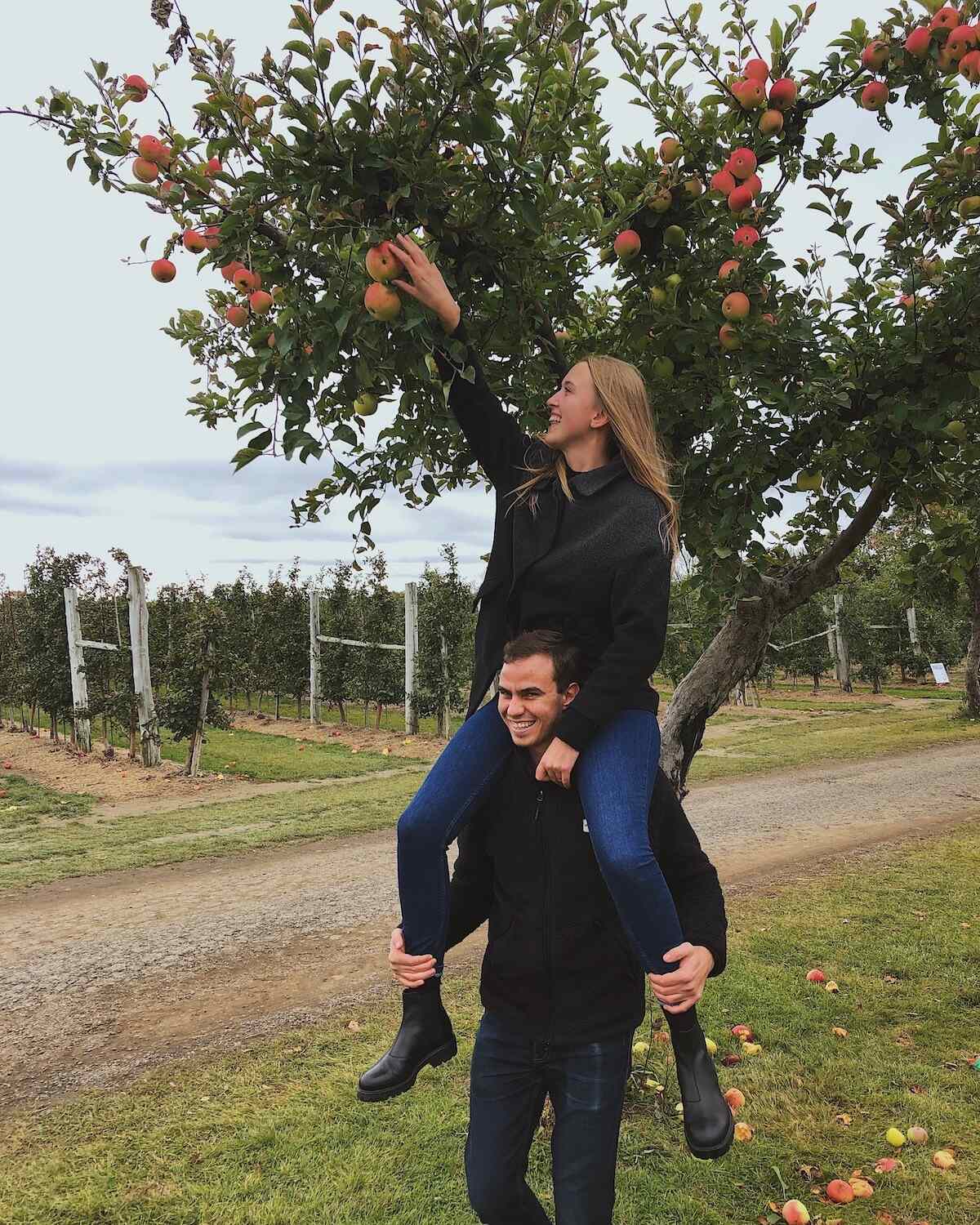 Lucas carrying Samantha on his shoulders while she picks an apple from the tree at Chudleigh's Orchard on an overcast day