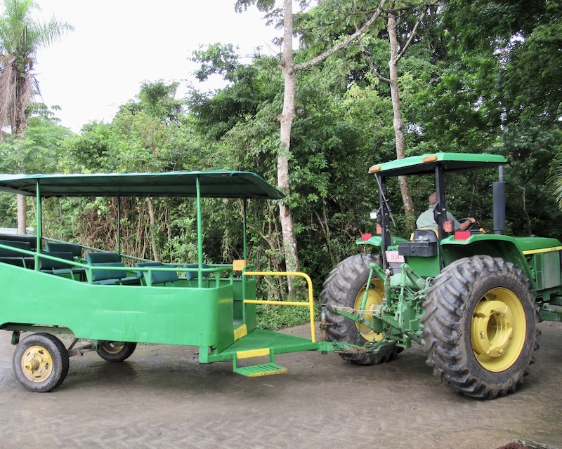 Buena Vista tractor Guanacaste