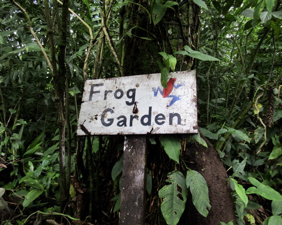Finca Verde Lodge in Guanacaste