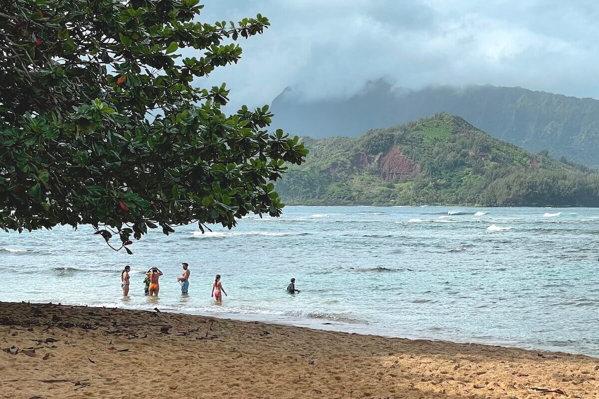 Beach in Northern Kauai in one the best time of the year to visit Kauai - beach with people in ocean and leafy surroundings