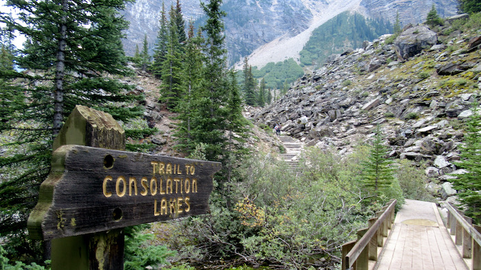 Hiking trail to find Consolation Lake