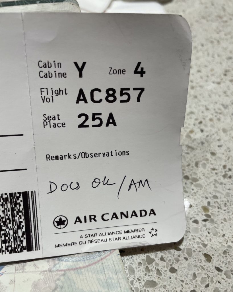 Air Canada ticket for travel