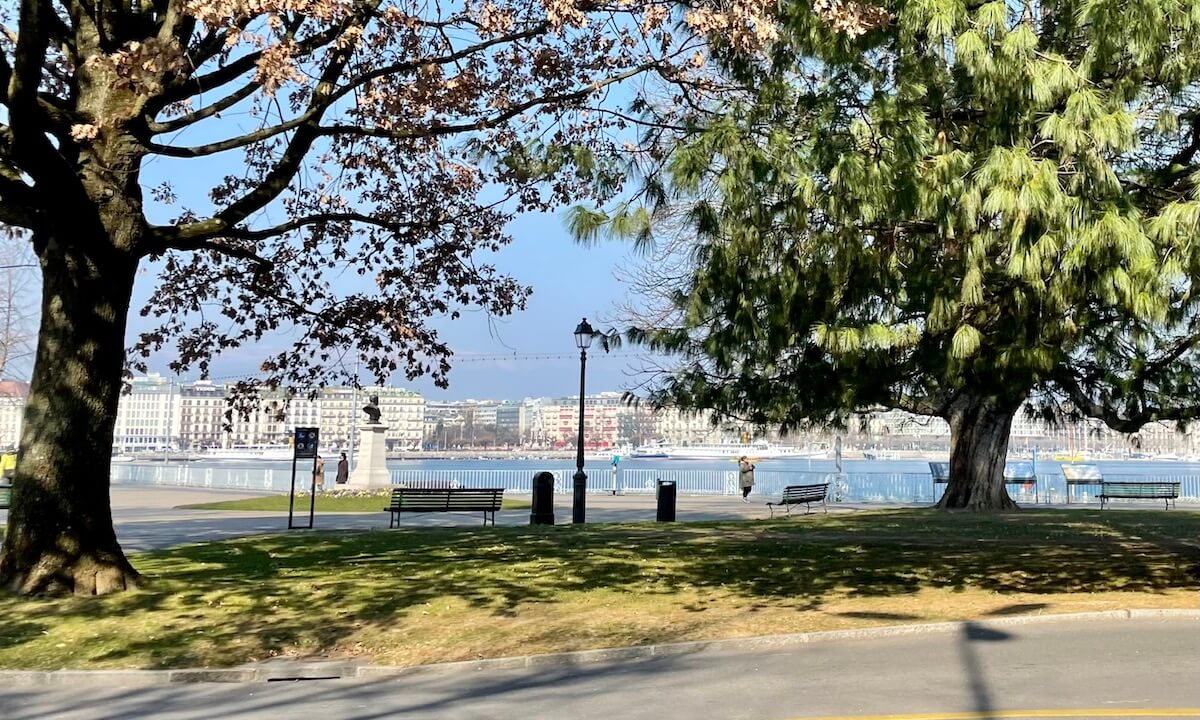 Geneva town - trees, lake and buildings