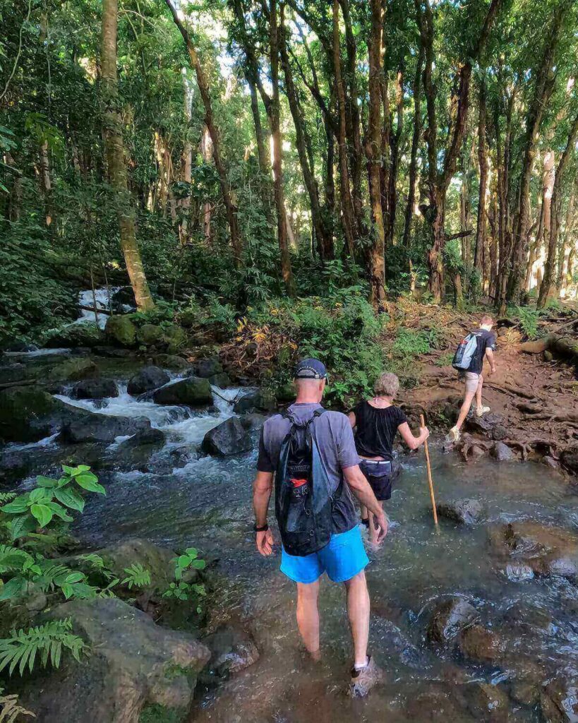 Group of 3 people walking across stream with rocks within a forest on the way to Secret Falls. One holding a bamboo stick