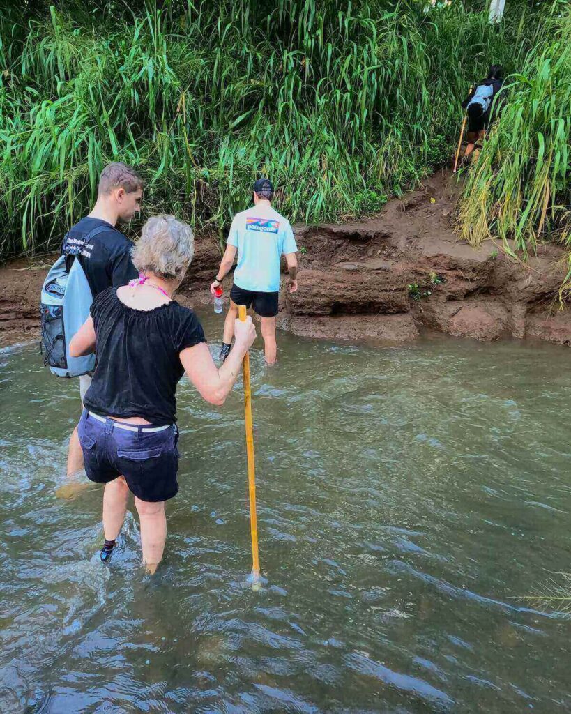 Woman holding bamboo stick while wading through Wailua River approaching a muddy bank with high bushes lining the path to Secret Falls