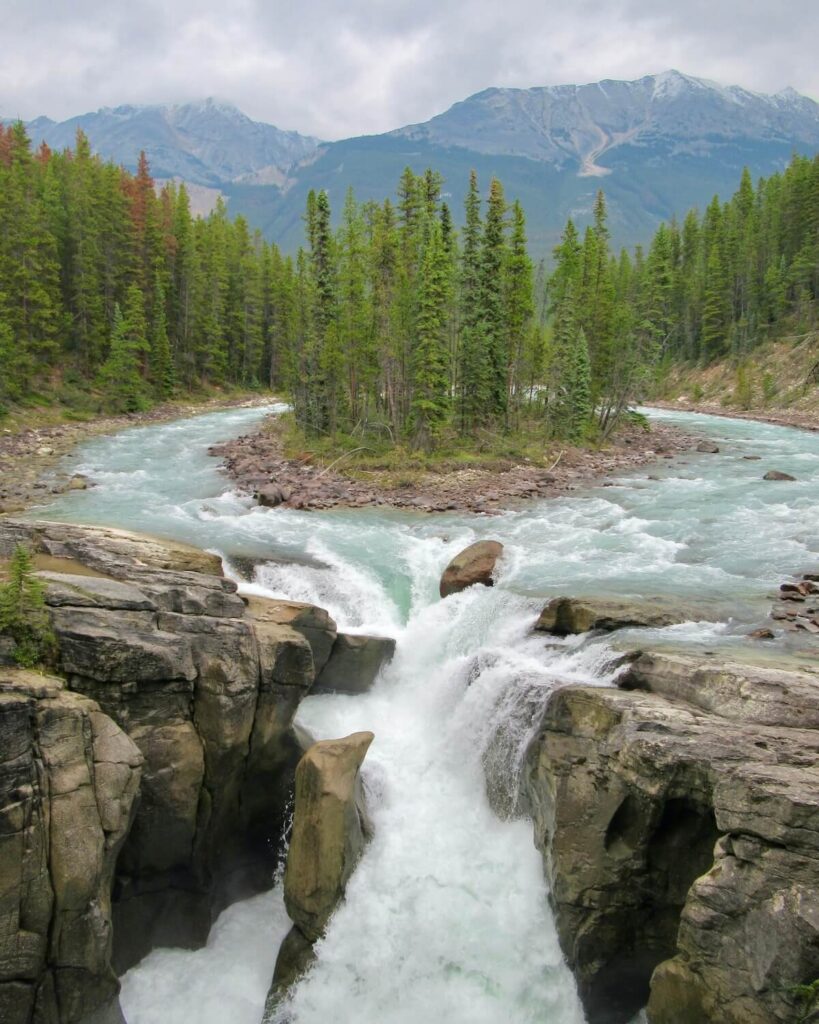 Sunwapta Falls - waterfall sweeping around small island with trees on it, trees lining the falls and a large mountain range in the background